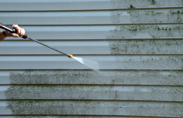 Best Residential Pressure Washing Services  in Garland, TX